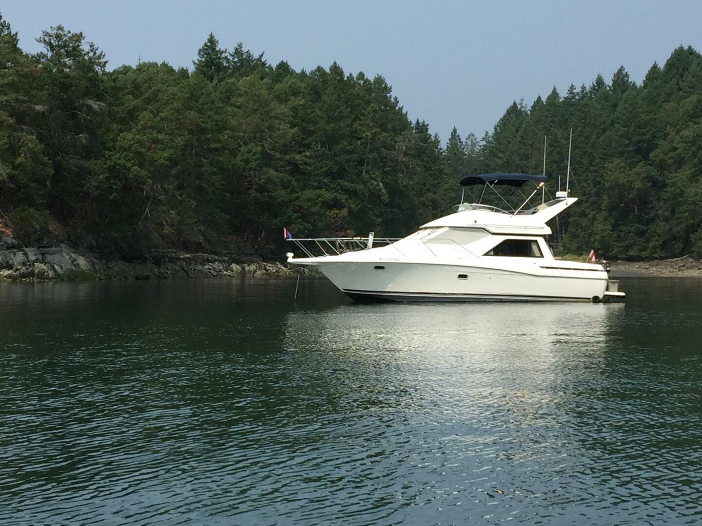 1998 Bayliner null