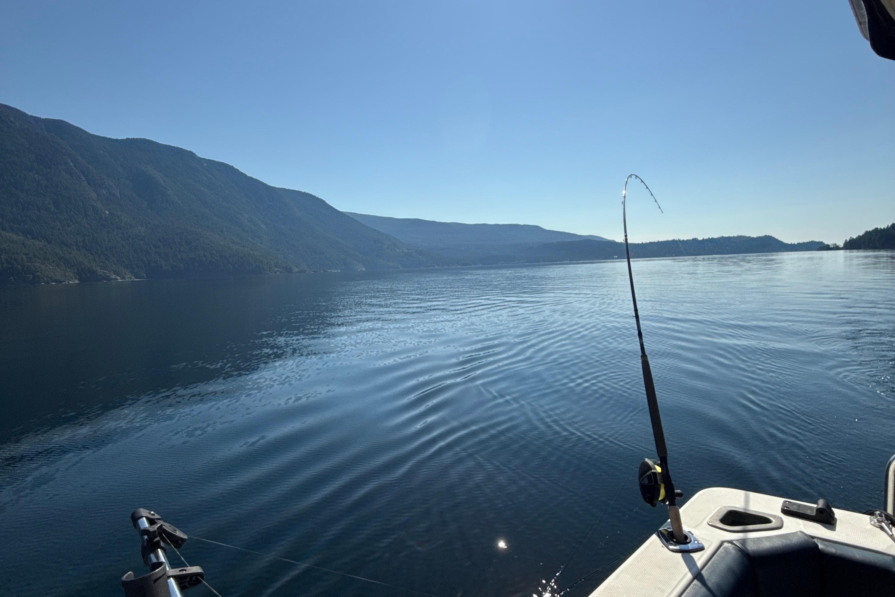 1994 Bayliner 4788 Pilot House Motoryacht