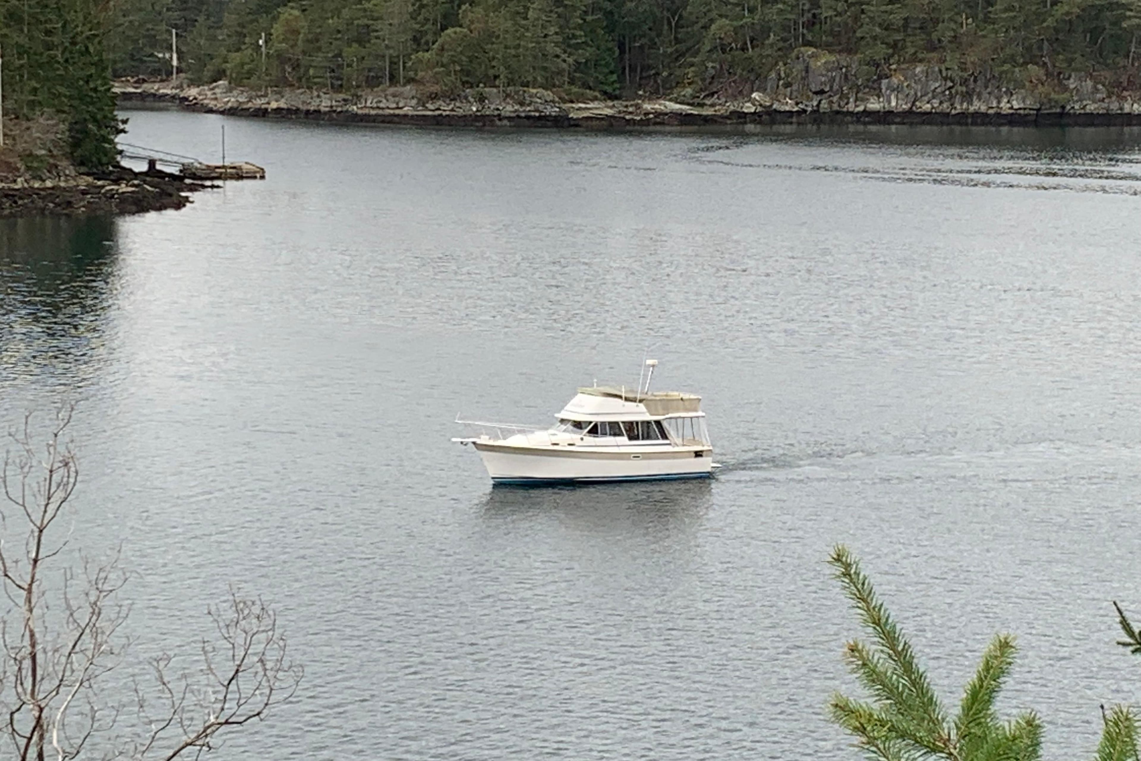 1984 Bayliner 3270 Explorer