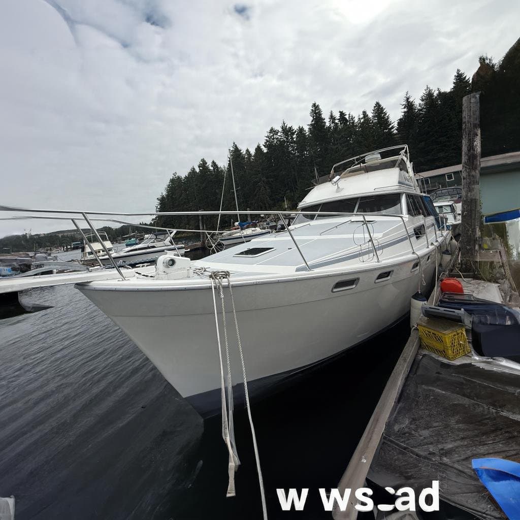 1989 Bayliner 3888 Motoryacht