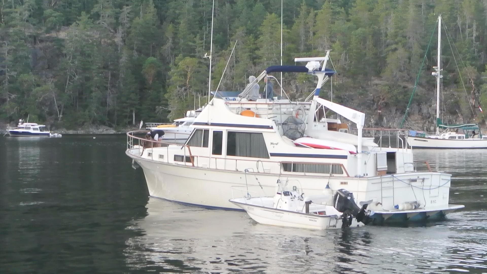 1977 Tollycraft 48 Cockpit Motor Yacht