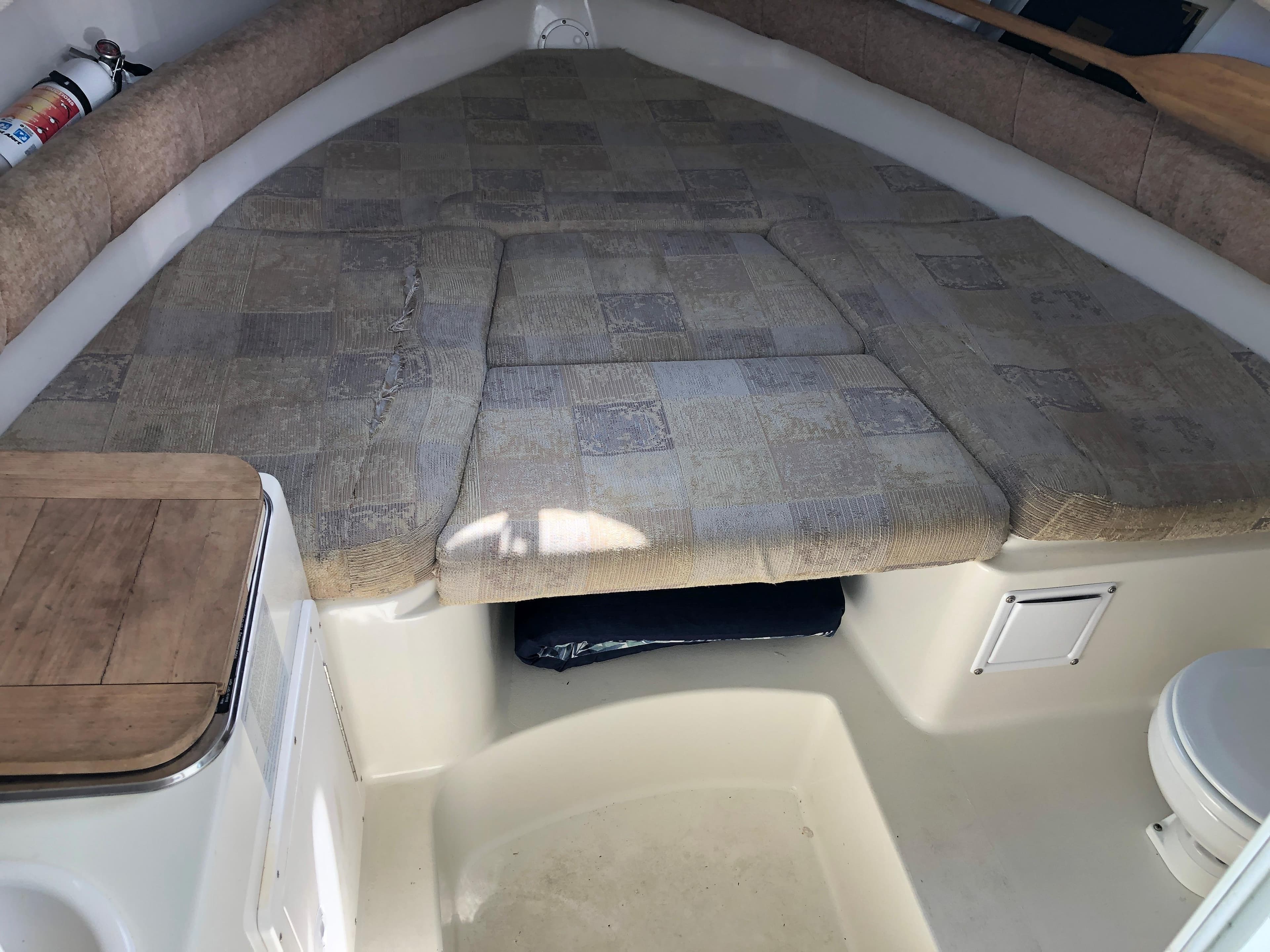 2005 Seaswirl Striper 2601 Walkaround I/O