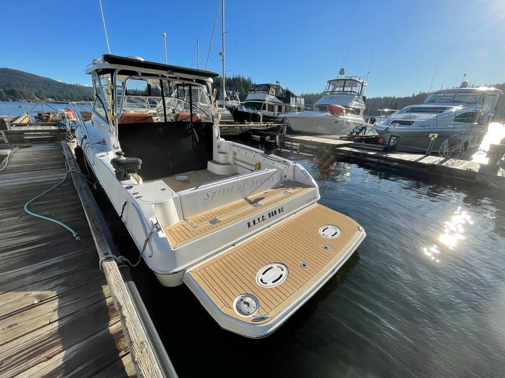 2008 Striper 2901 Walk Around