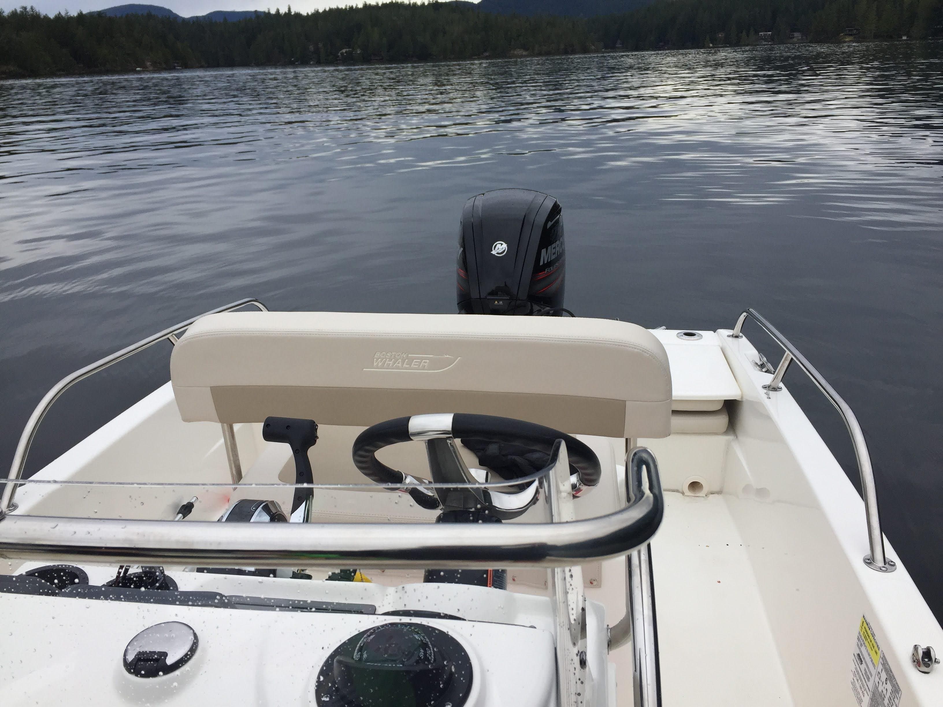 2017 Boston Whaler Dauntless 17