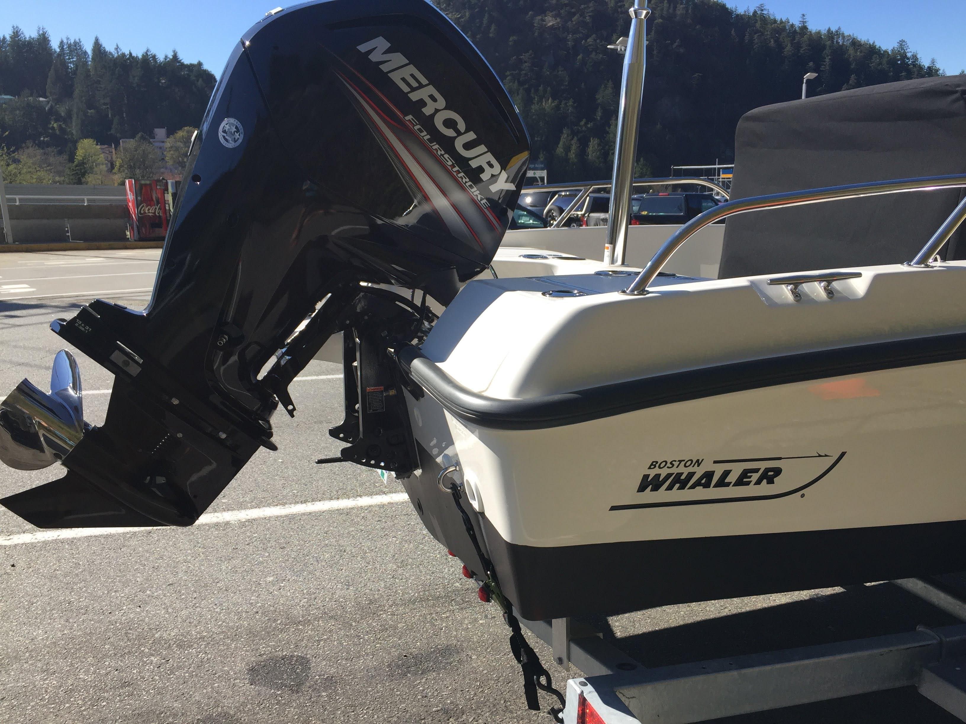 2017 Boston Whaler Dauntless 17