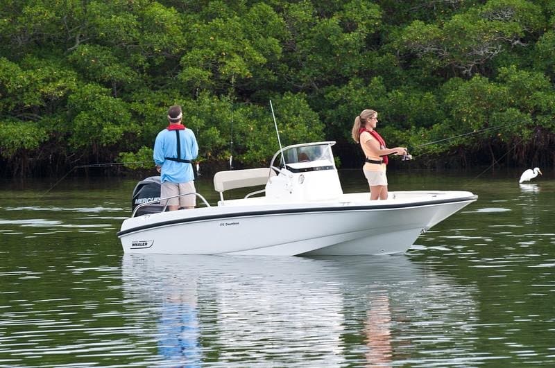 2017 Boston Whaler Dauntless 17