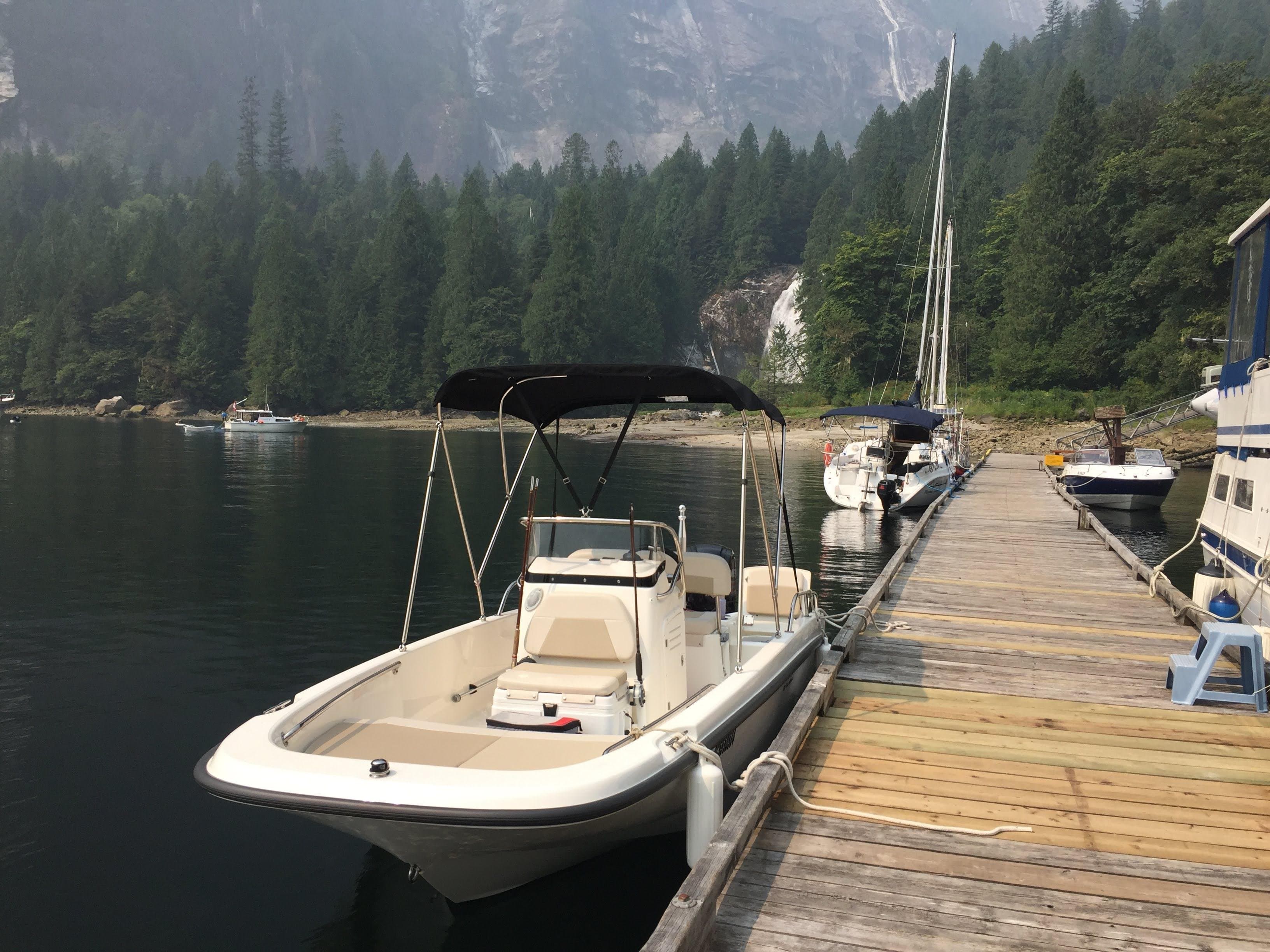 2017 Boston Whaler Dauntless 17