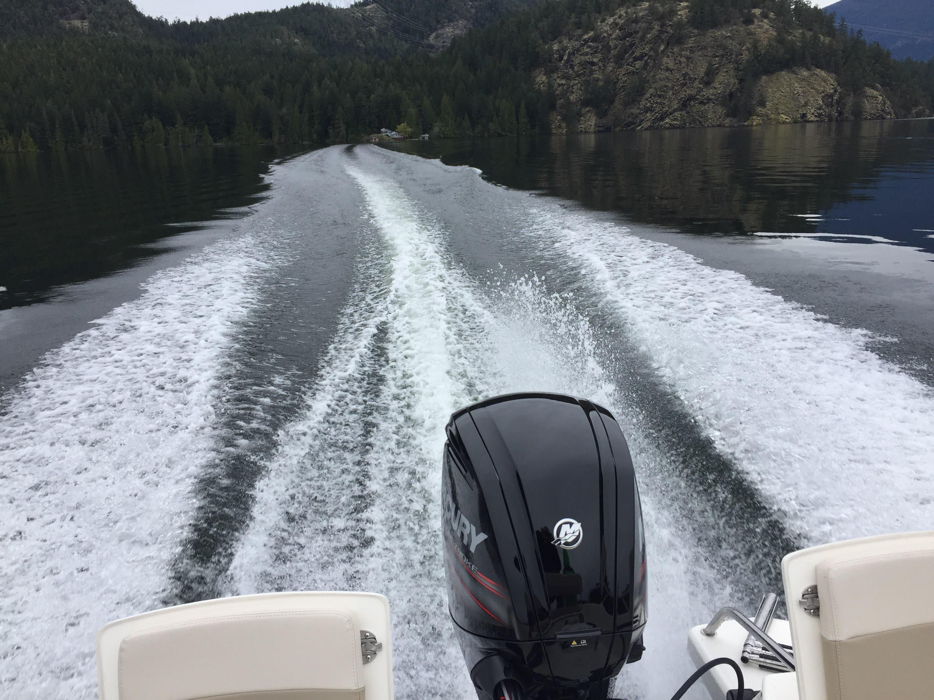 2017 Boston Whaler Dauntless 17