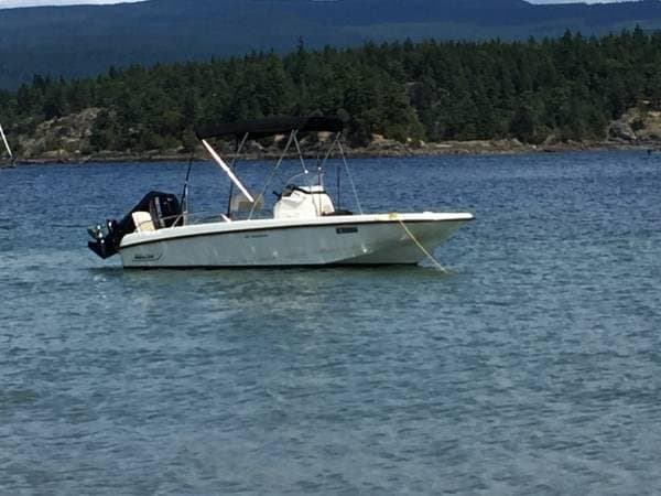 2017 Boston Whaler Dauntless 17