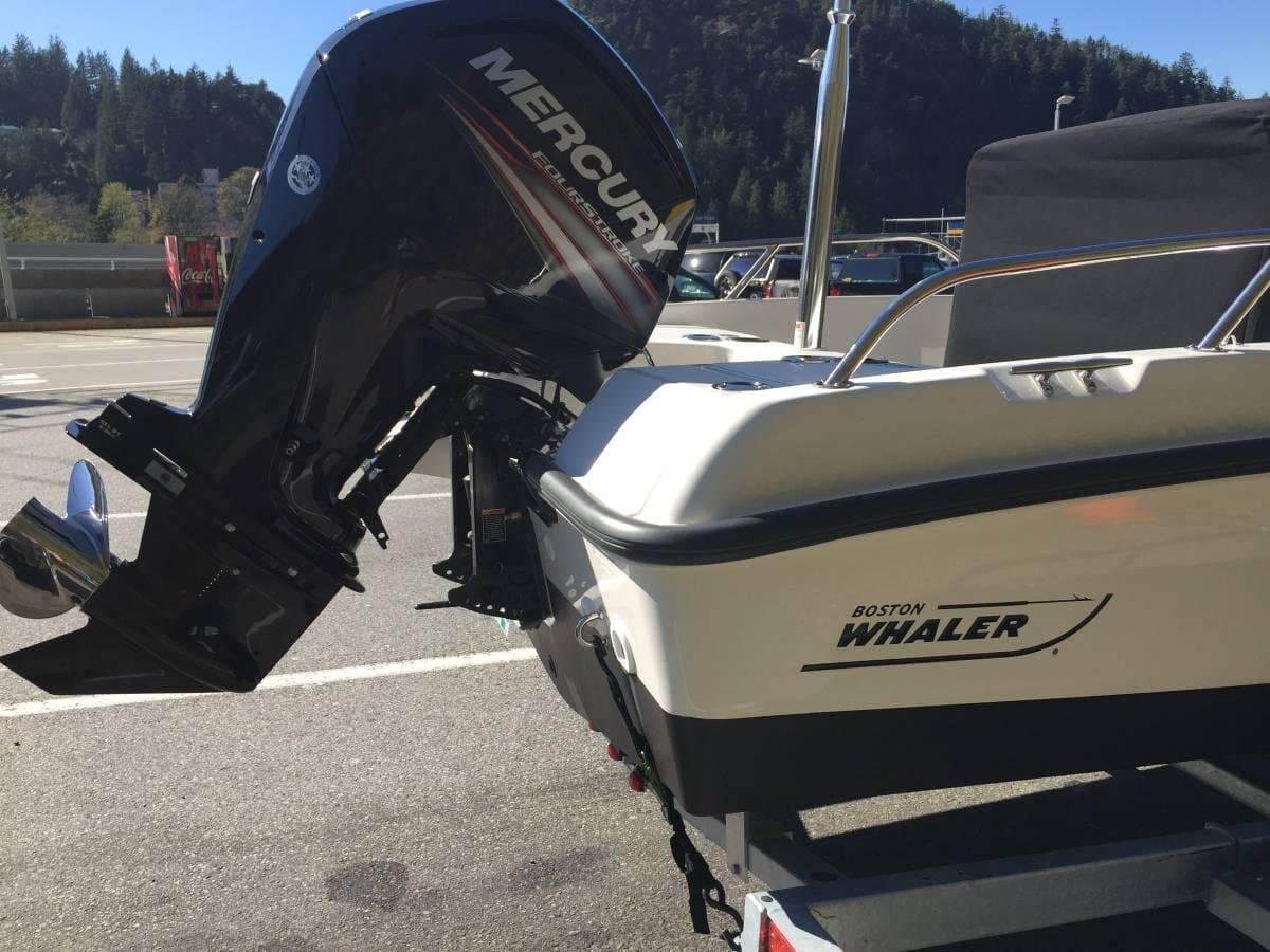 2017 Boston Whaler Dauntless 17