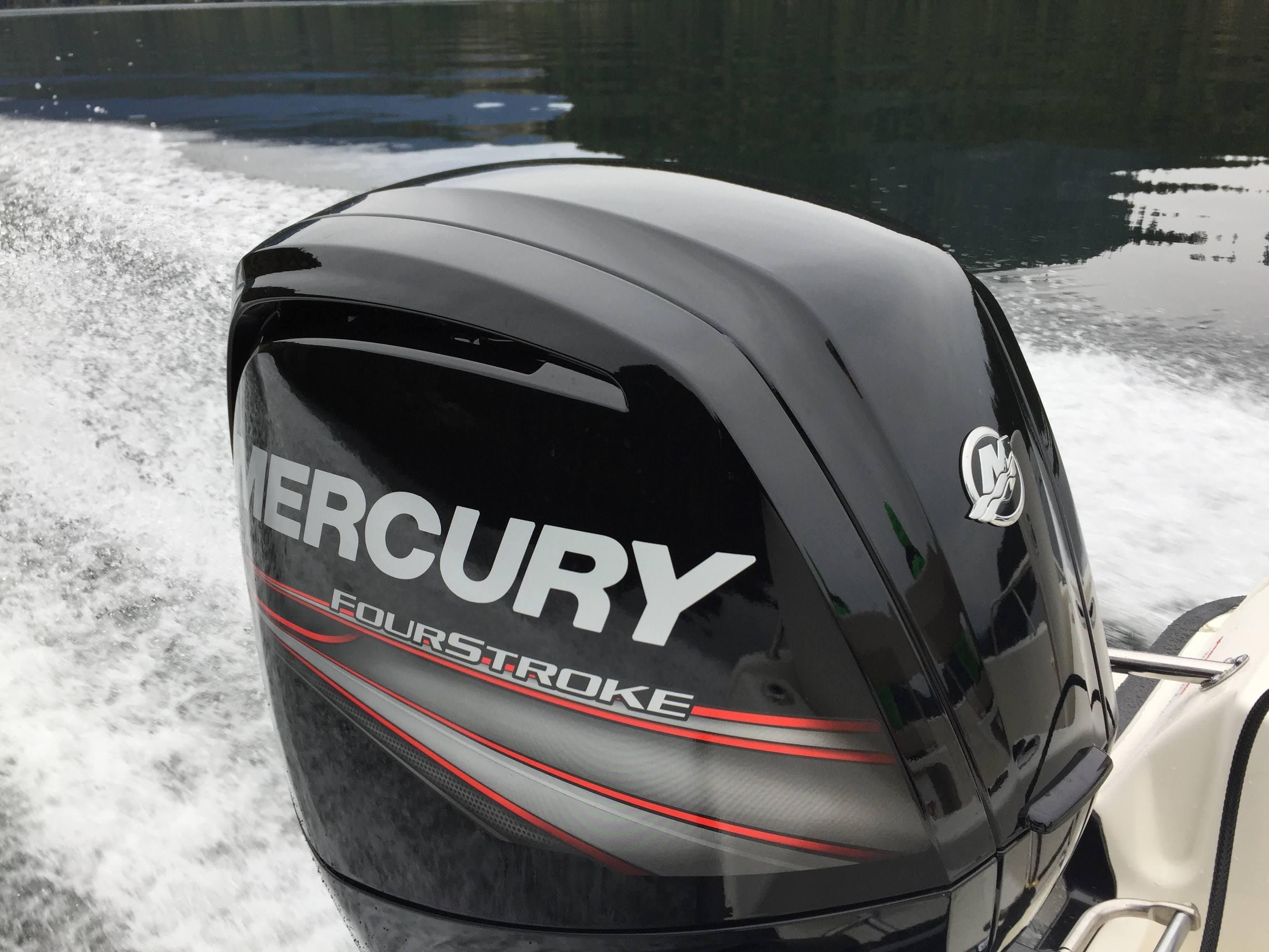 2017 Boston Whaler Dauntless 17