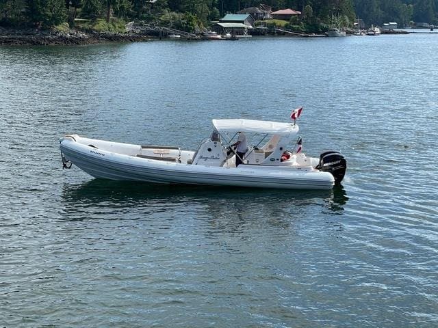 2009 Stingher 10 meter