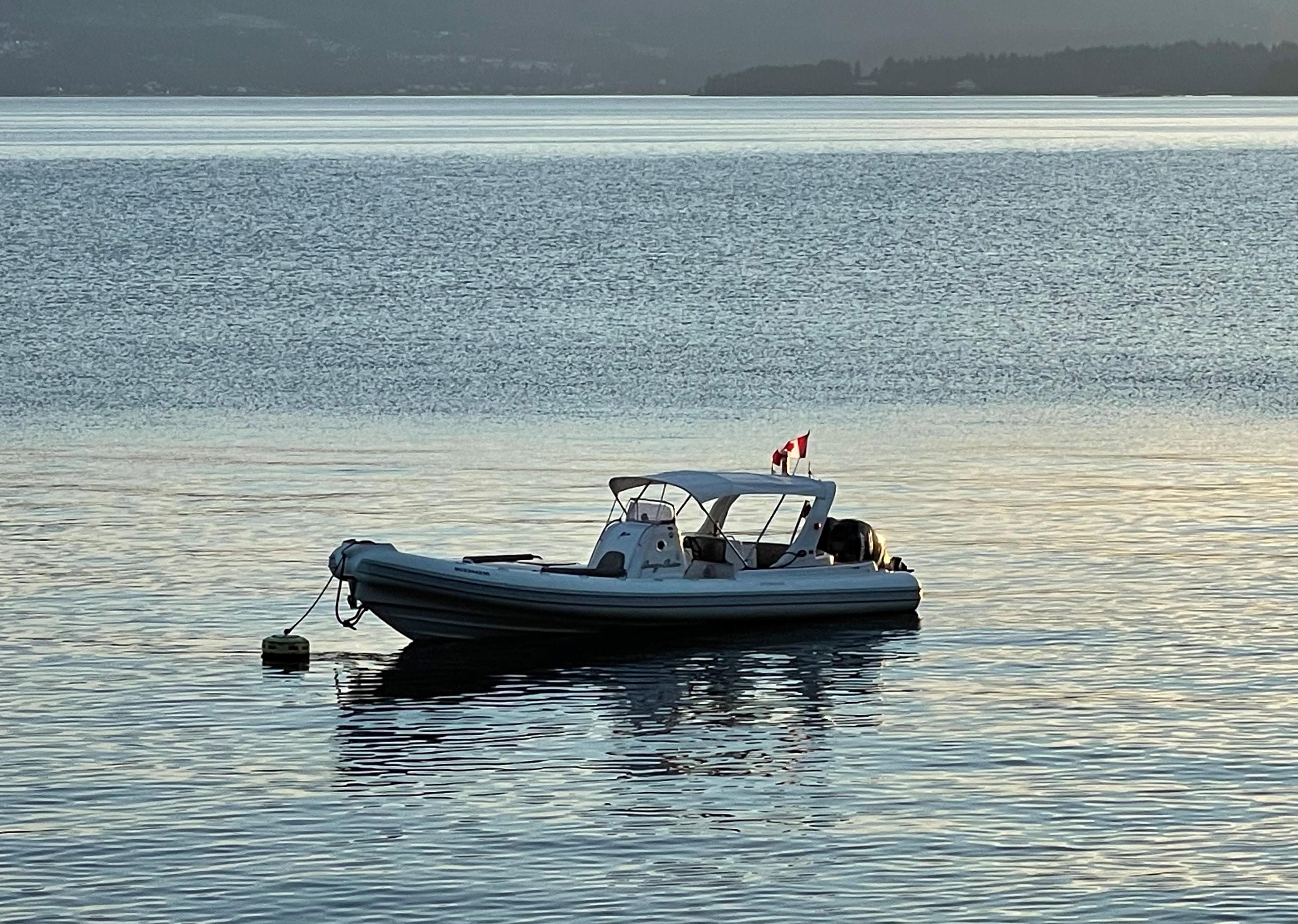2009 Stingher 10 meter