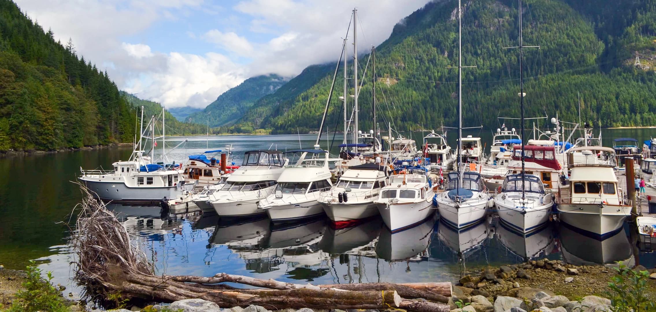 Free Valuation Background